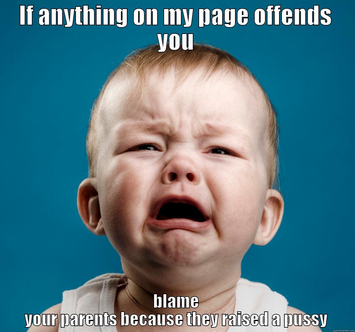Raising pussies! - IF ANYTHING ON MY PAGE OFFENDS YOU BLAME YOUR PARENTS BECAUSE THEY RAISED A PUSSY Misc