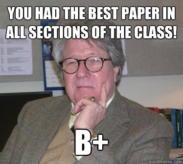 You had the best paper in all sections of the class! B+  Humanities Professor