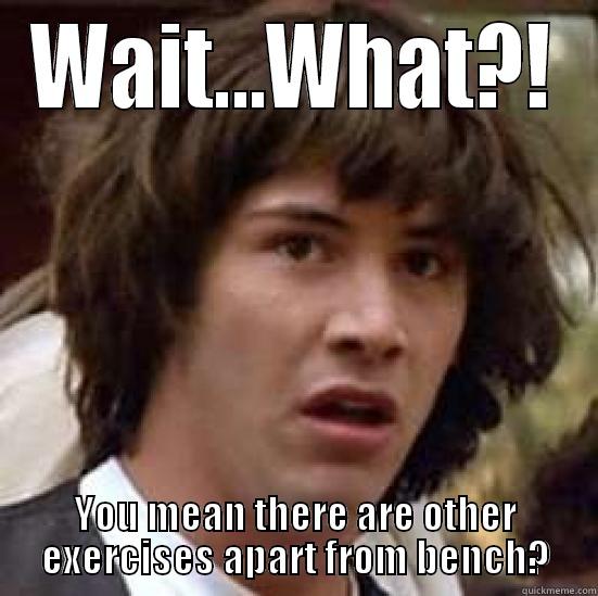 more to life than bench - WAIT...WHAT?! YOU MEAN THERE ARE OTHER EXERCISES APART FROM BENCH? conspiracy keanu
