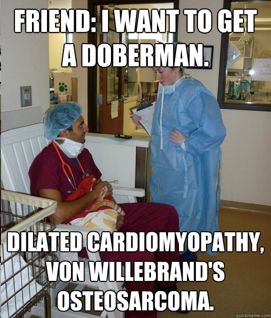 Friend: I want to get a Doberman. Dilated cardiomyopathy, Von Willebrand's osteosarcoma.  Overworked Veterinary Student