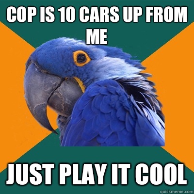 Cop is 10 cars up from me Just play it cool  Paranoid Parrot