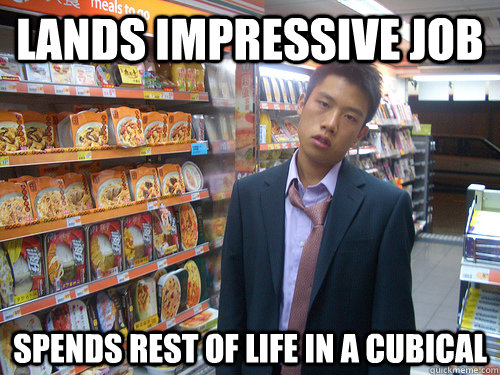 Lands impressive job spends rest of life in a cubical  Disenchanted Young Professional