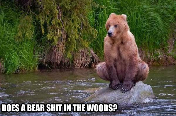 Does a bear shit in the woods? - Does a bear shit in the woods?  toilet meme