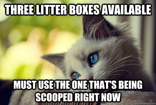 Three litter boxes available Must use the one that's being scooped right now  First World Problems Cat