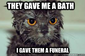 They gave me a bath I gave them a funeral  