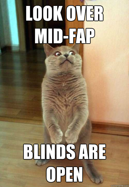 Look over 
mid-fap Blinds are open  Horrorcat