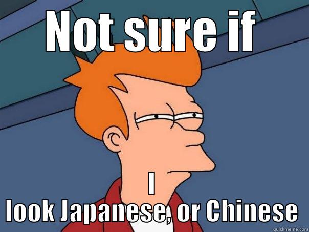 Not sure if I look Japanese or Chinese - NOT SURE IF I LOOK JAPANESE, OR CHINESE Futurama Fry