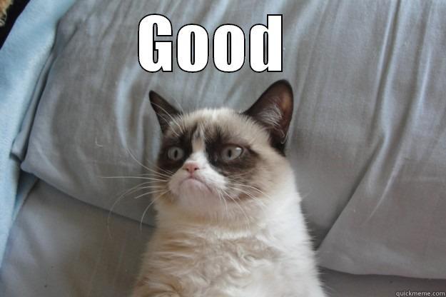 LOL  - GOOD   Grumpy Cat