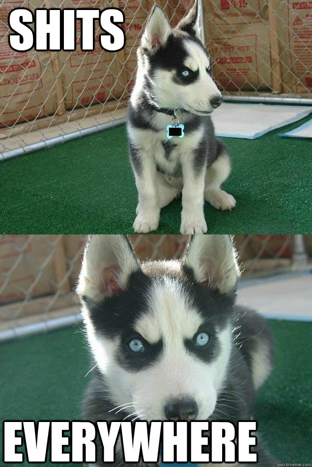 Shits Everywhere  Insanity puppy