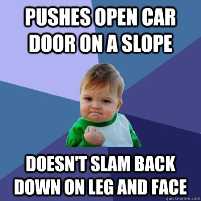 Pushes open car door on a slope Doesn't slam back down on leg and face  Success Kid