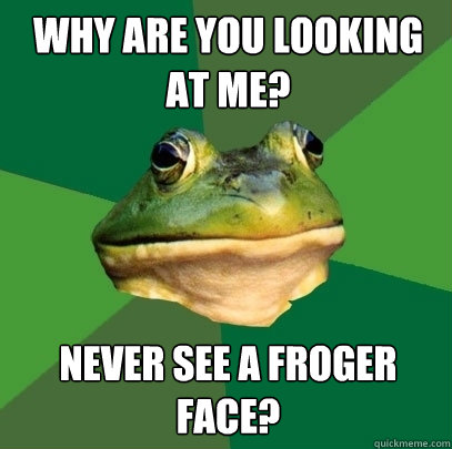 Why are you looking at me? Never see a froger face?  Foul Bachelor Frog