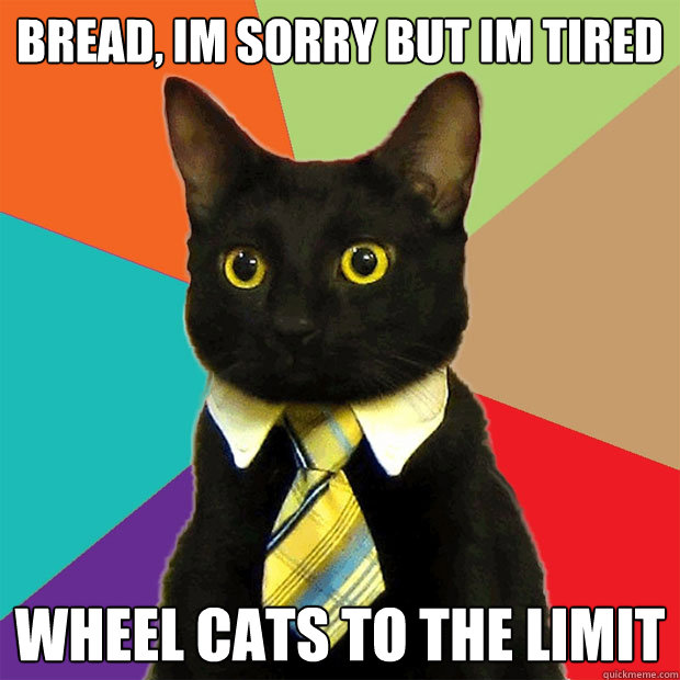 bread, im sorry but im tired wheel cats to the limit  Business Cat