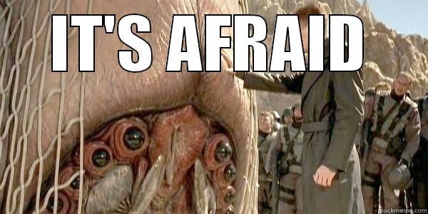 IT'S AFRAID  Misc
