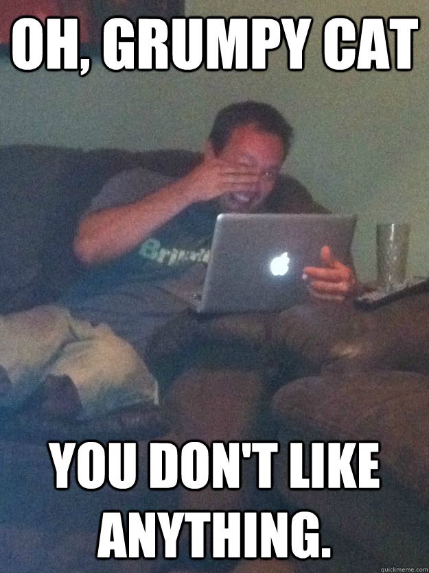 Oh, Grumpy cat  You don't like anything.  Reddit Meme Dad