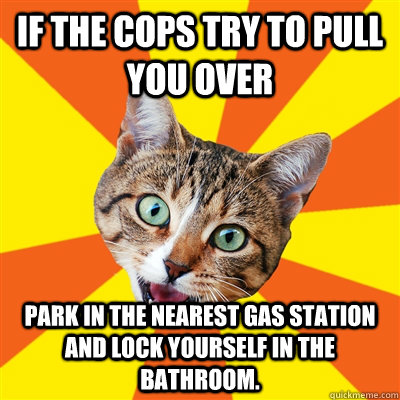if the cops try to pull you over park in the nearest gas station and lock yourself in the bathroom.  Bad Advice Cat