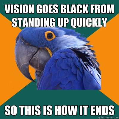 vision goes black from standing up quickly so this is how it ends  Paranoid Parrot