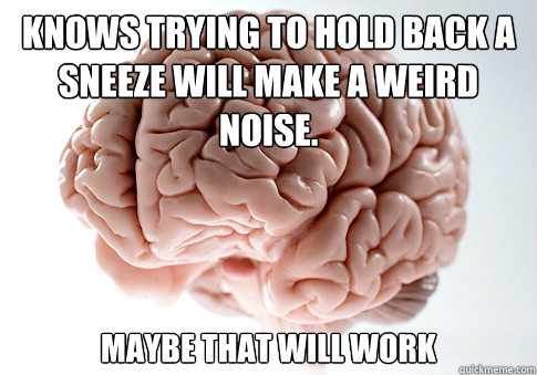 KNOWS TRYING TO HOLD BACK A SNEEZE WILL MAKE A WEIRD NOISE. MAYBE THAT WILL WORK  Scumbag Brain