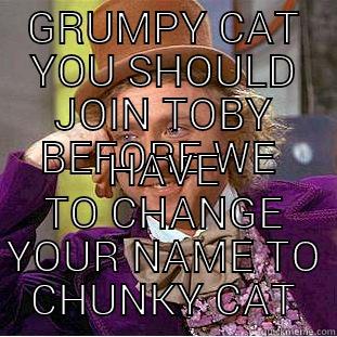 GRUMPY CAT YOU SHOULD JOIN TOBY BEFORE WE  HAVE TO CHANGE YOUR NAME TO CHUNKY CAT Condescending Wonka