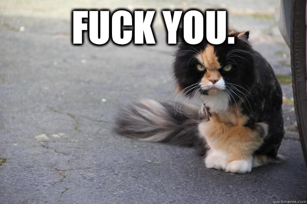 Fuck you.   Angry Cat
