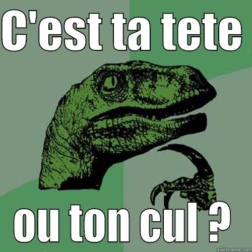 C'EST TA TETE  OU TON CUL ? Philosoraptor