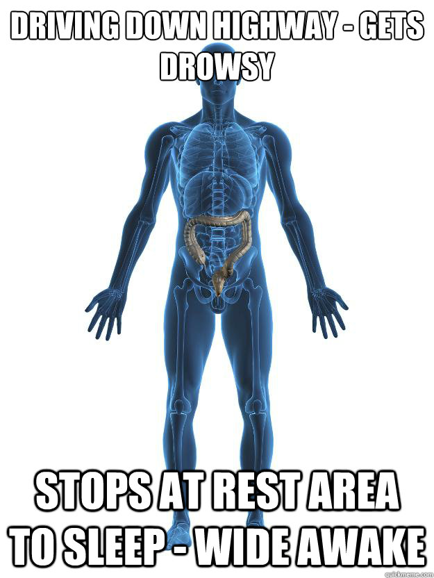 Driving down highway - gets drowsy stops at rest area to sleep - Wide awake - Driving down highway - gets drowsy stops at rest area to sleep - Wide awake  Scumbag human body