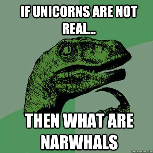 if unicorns are not real... then what are narwhals - if unicorns are not real... then what are narwhals  Philosoraptor