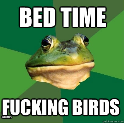 Bed time Fucking birds 4chan.org/b Caption 4 goes here - Bed time Fucking birds 4chan.org/b Caption 4 goes here  Foul Bachelor Frog
