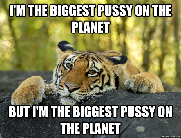 I'm the biggest pussy on the planet but I'm the biggest pussy on the planet - I'm the biggest pussy on the planet but I'm the biggest pussy on the planet  Confession Tiger