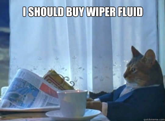 I should buy wiper fluid - I should buy wiper fluid  I should buy a cat