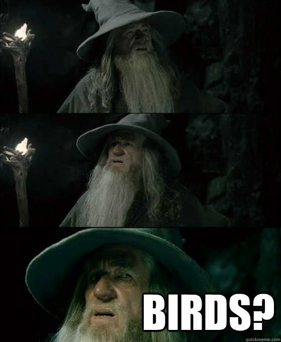  Birds?  No memory Gandalf