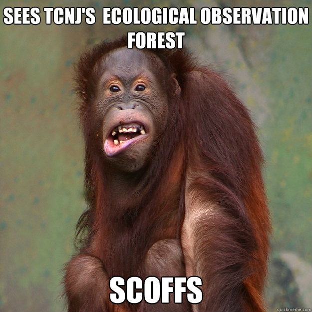 sees TCNJ's  ecological observation forest scoffs Caption 3 goes here  