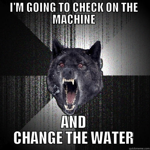 I'M GOING TO CHECK ON THE MACHINE AND CHANGE THE WATER Insanity Wolf