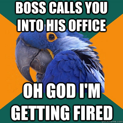 boss calls you into his office oh god i'm getting fired  Paranoid Parrot