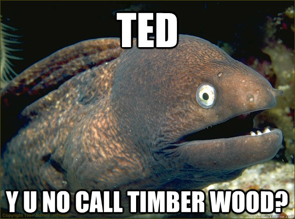 TED Y U NO CALL TIMBER WOOD?  Bad Joke Eel