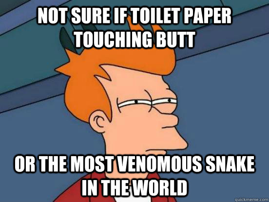 Not sure if toilet paper touching butt or the most venomous snake in the world  