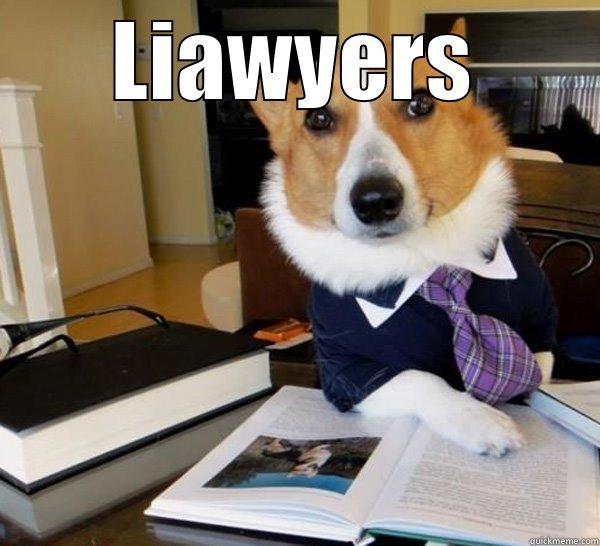LIAWYERS  Lawyer Dog