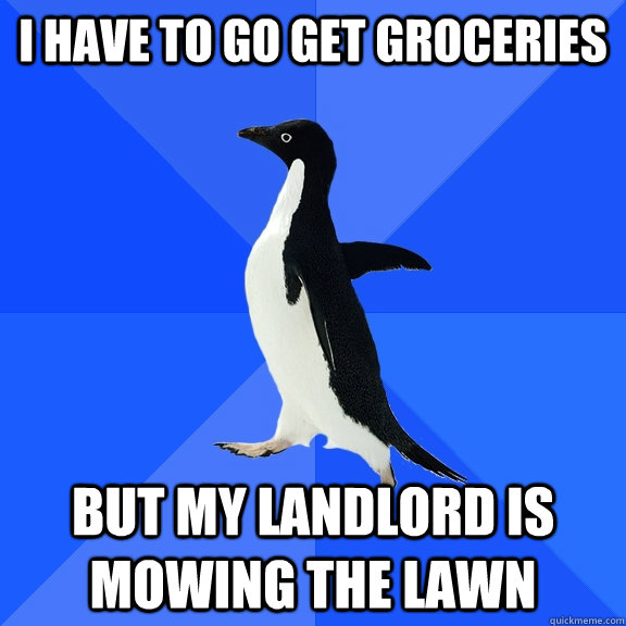 i have to go get groceries but my landlord is mowing the lawn  Socially Awkward Penguin