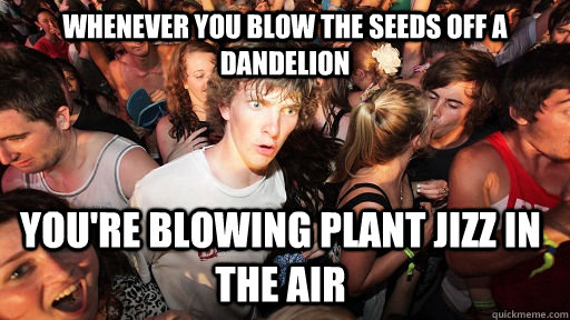 Whenever you blow the seeds off a dandelion you're blowing plant jizz in the air  Sudden Clarity Clarence