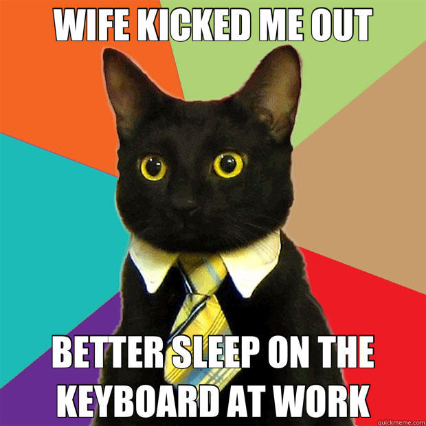 WIFE KICKED ME OUT BETTER SLEEP ON THE KEYBOARD AT WORK - WIFE KICKED ME OUT BETTER SLEEP ON THE KEYBOARD AT WORK  Business Cat