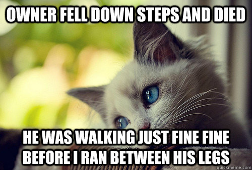 Owner fell down steps and died He was walking just fine fine before I ran between his legs  First World Cat Problems