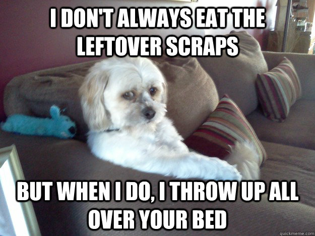 I don't always eat the leftover scraps but when I do, I throw up all over your bed - I don't always eat the leftover scraps but when I do, I throw up all over your bed  Worry Mutt