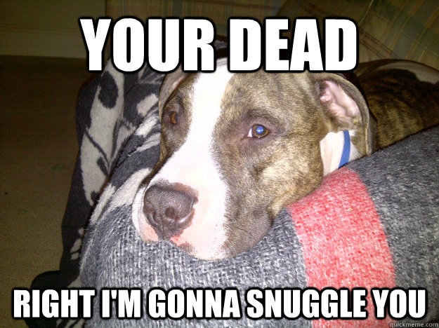 your dead right i'm gonna snuggle you - your dead right i'm gonna snuggle you  Vicious Pit Meme