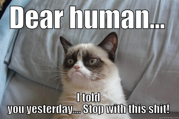 DEAR HUMAN... I TOLD YOU YESTERDAY.... STOP WITH THIS SHIT! Grumpy Cat