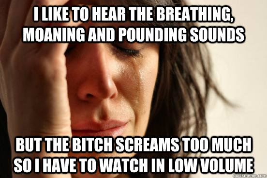 I like to hear the breathing, moaning and pounding sounds but the bitch screams too much so I have to watch in low volume  First World Problems