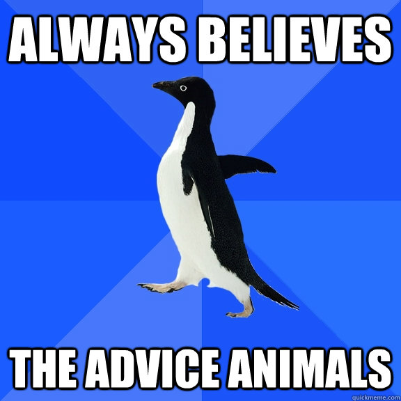always believes the advice animals  Socially Awkward Penguin