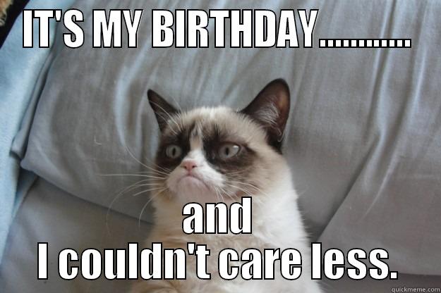 IT'S MY BIRTHDAY............ AND I COULDN'T CARE LESS. Grumpy Cat