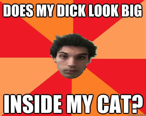 does my dick look big inside my cat?  Idiot WoW player