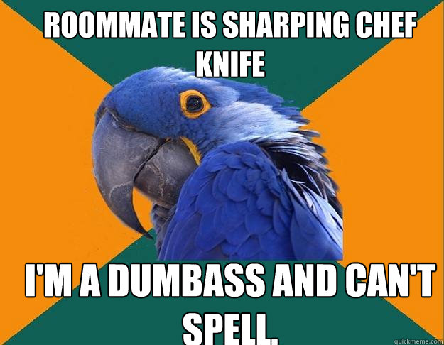 Roommate is sharping Chef Knife I'm a dumbass and can't spell.  Paranoid Parrot