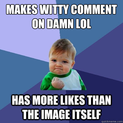 Makes witty comment on damn lol Has more likes than the image itself  Success Kid