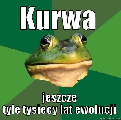 KURWA JESZCZE TYLE TYSIECY LAT EWOLUCJI Foul Bachelor Frog